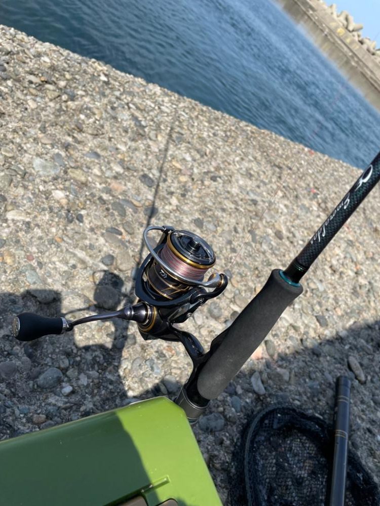 コウイカ釣れてるらしいのでエギングへ