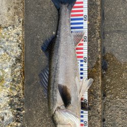 久々の70オーバー