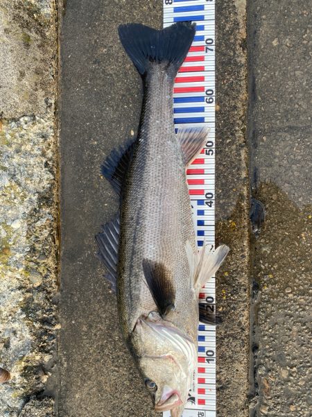 久々の70オーバー