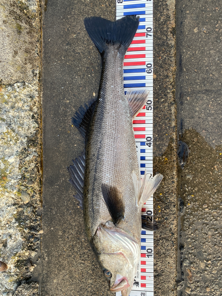 久々の70オーバー