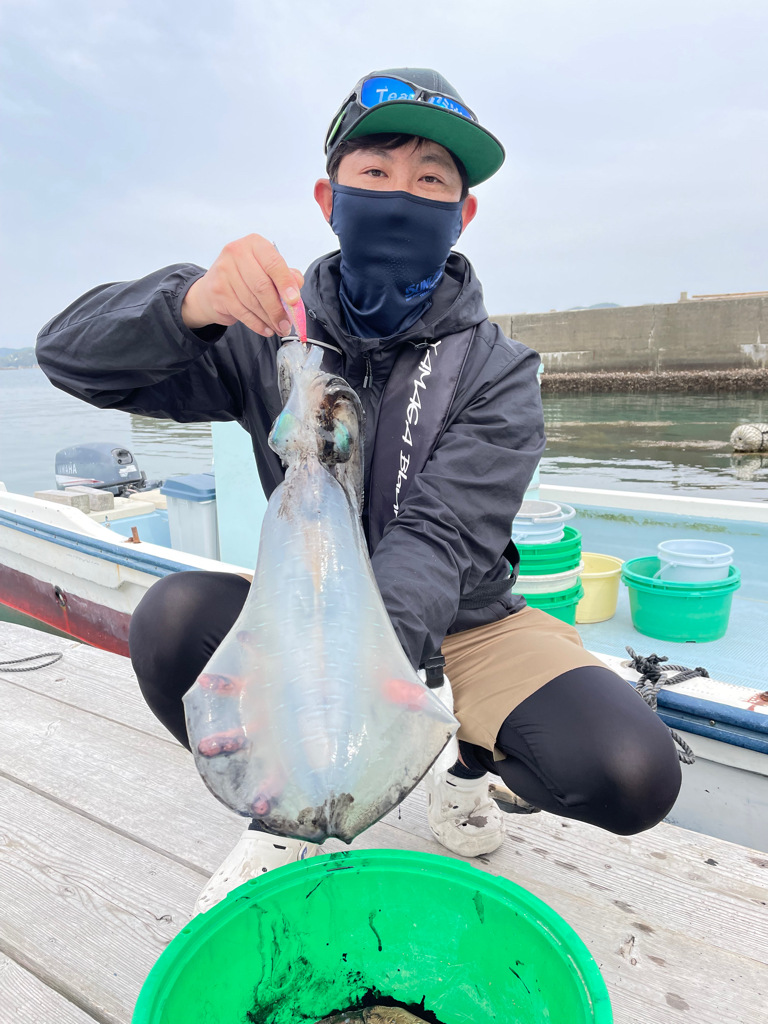 春のアオリイカにようやく出会えた!