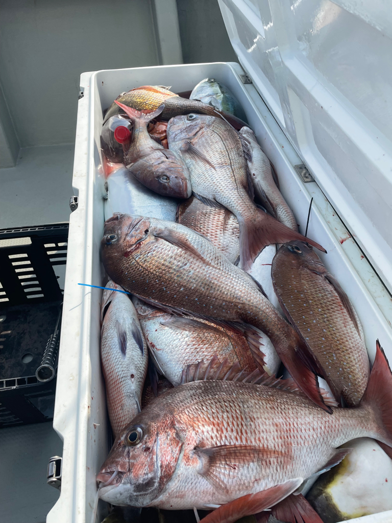 経ヶ岬沖ジギング　タイラバ