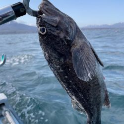 今シーズン初のオフショア釣行