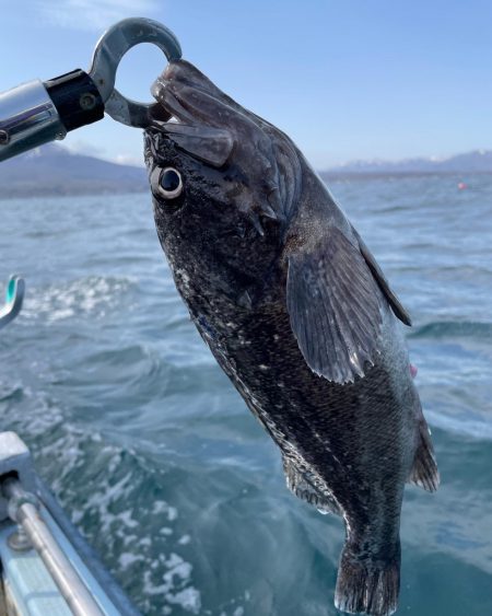 今シーズン初のオフショア釣行