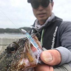 鯵道でアジングの道を極めろ！