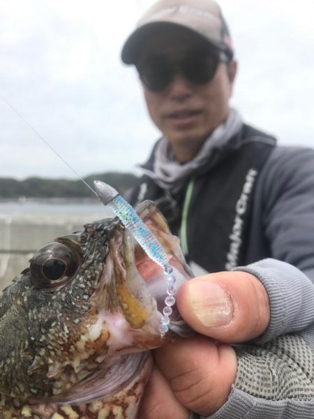 鯵道でアジングの道を極めろ！