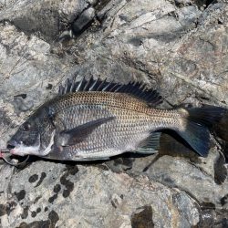 激流に四苦八苦❗࿠…