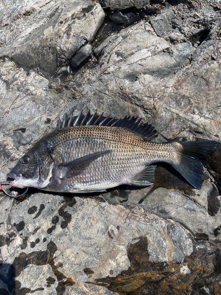 激流に四苦八苦❗࿠…