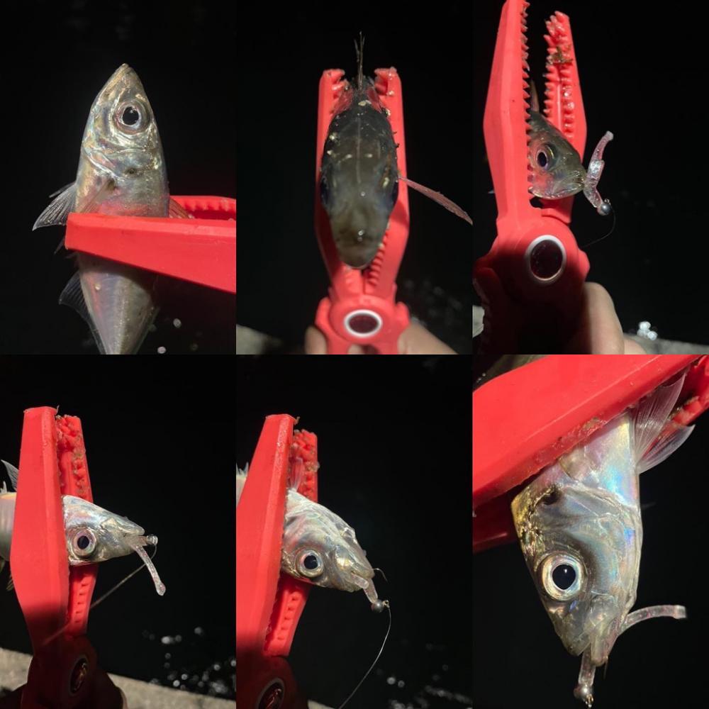 久しぶりの釣り場で