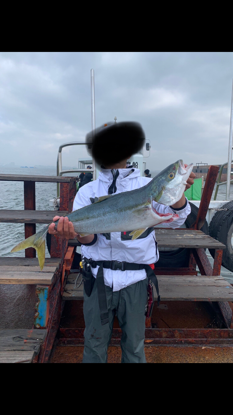 今年のショア初青物