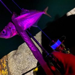 メインラインを変更してみた！