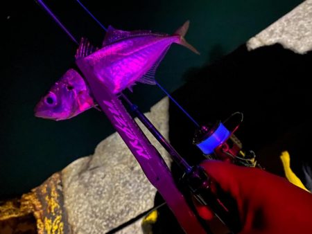 メインラインを変更してみた！