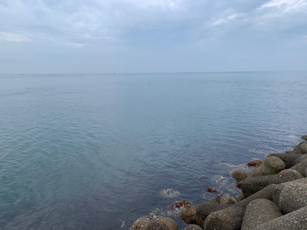 今期初!ナイスブルー①(ツバス)