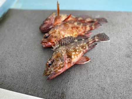 ガチンコフラット&ロック