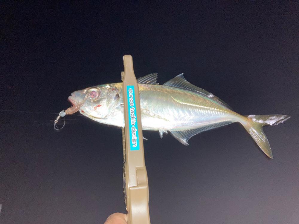 まだ少し早いかも