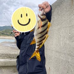 キス諦め穴釣り