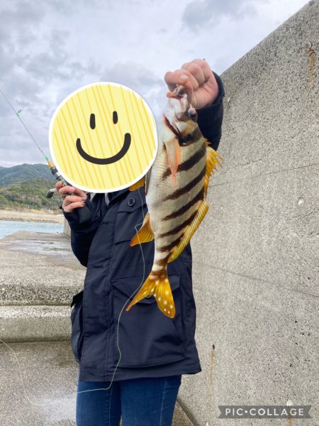 キス諦め穴釣り