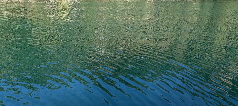 ヤエン撃沈でコウイカ確保