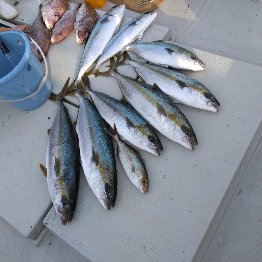 山口県見島沖のジギング