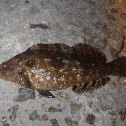 居ても立っても居られずに…