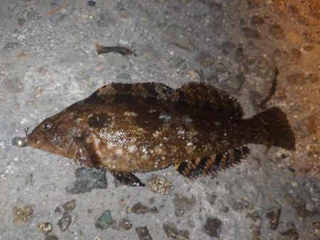 居ても立っても居られずに…