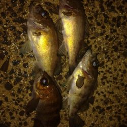 潮の流れの中で