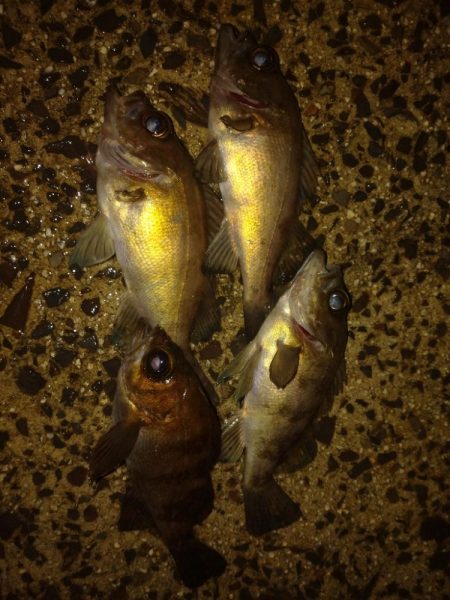 潮の流れの中で