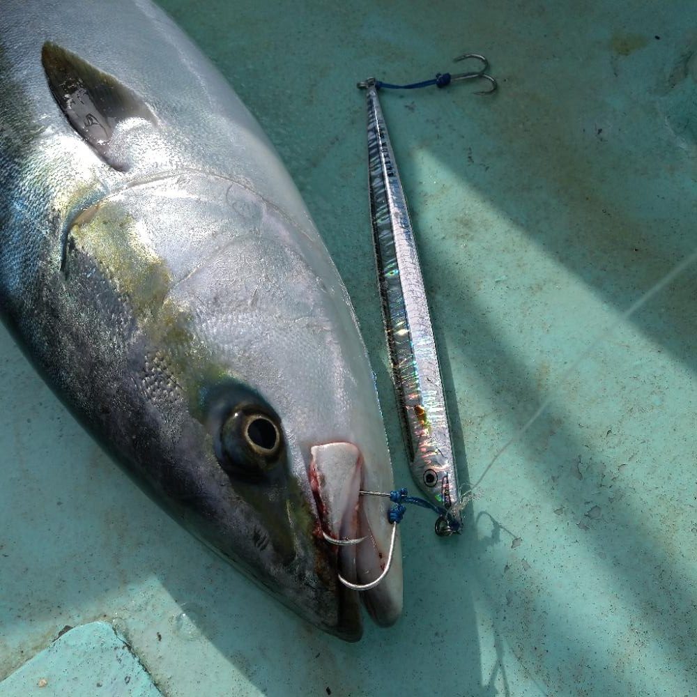 志摩沖 近海ジギング