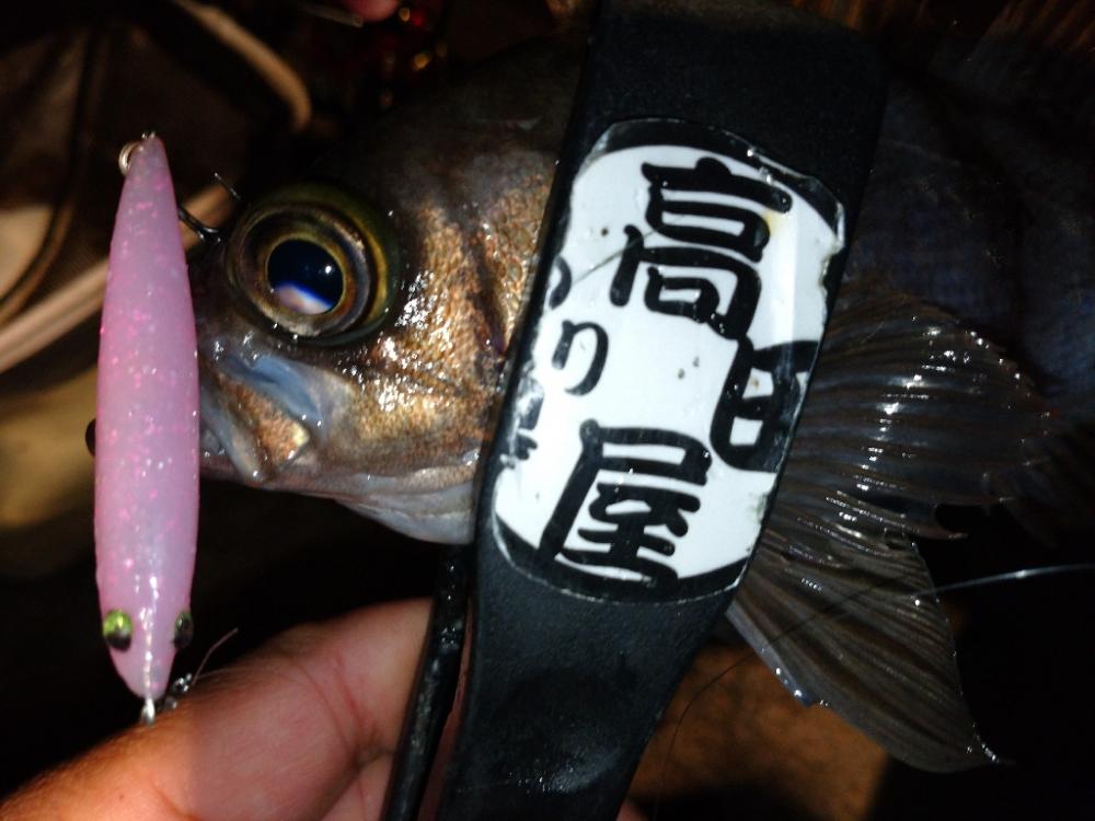 メバルプラッギング