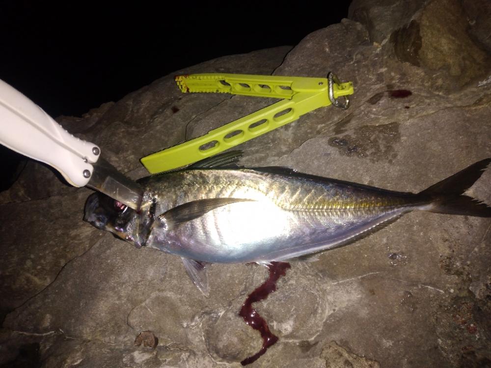 潮が動かず撃沈