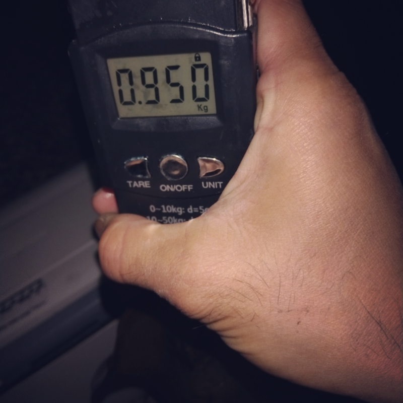 春は近づいてます！