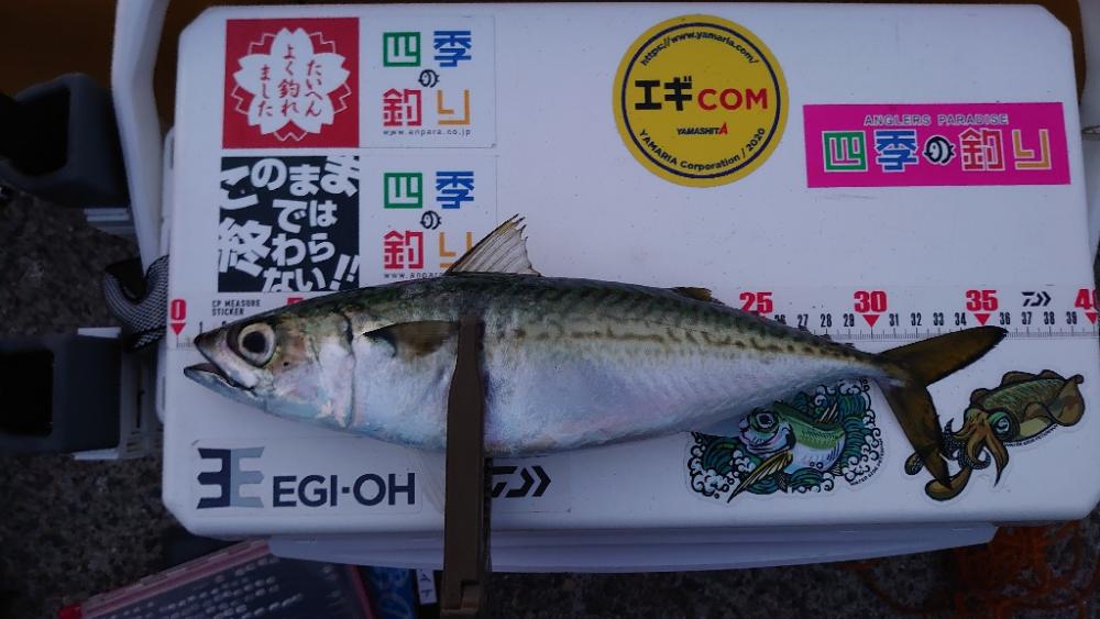 アタリはあるが…