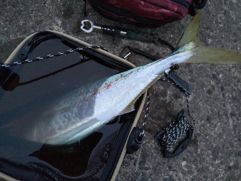 ショアプラッキング