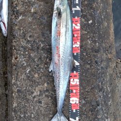 ショアプラッキング