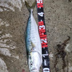 ショアプラッキング