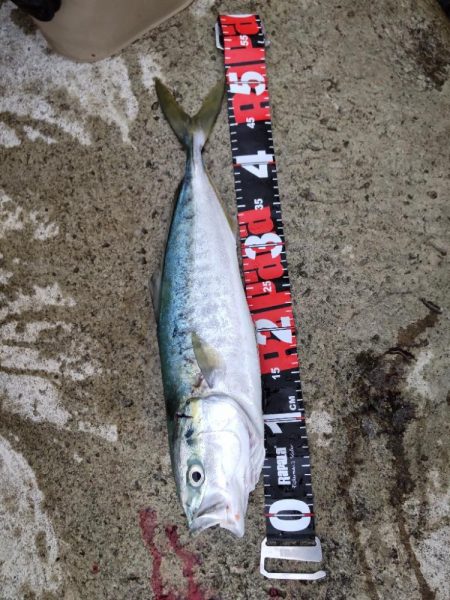 ショアプラッキング