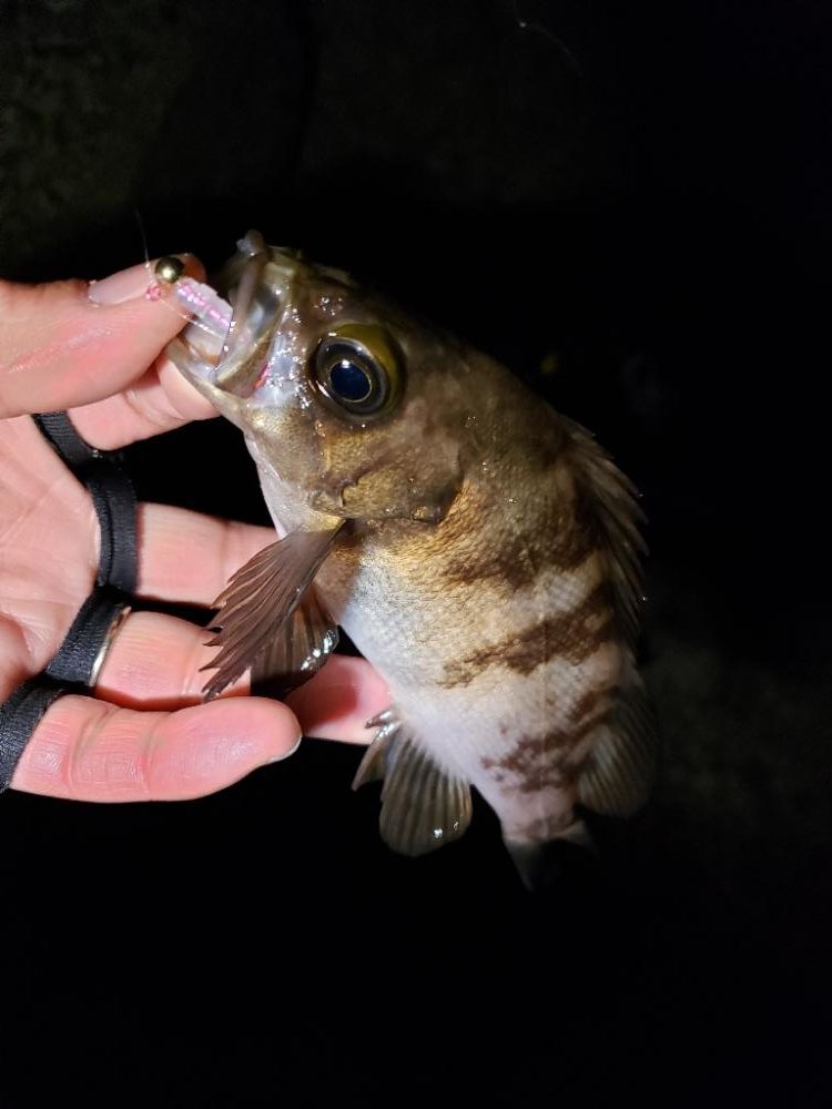 明るくなる前に