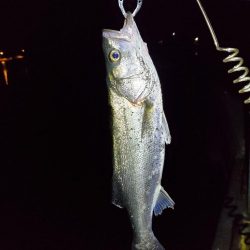 仕事帰りにふらっと♪