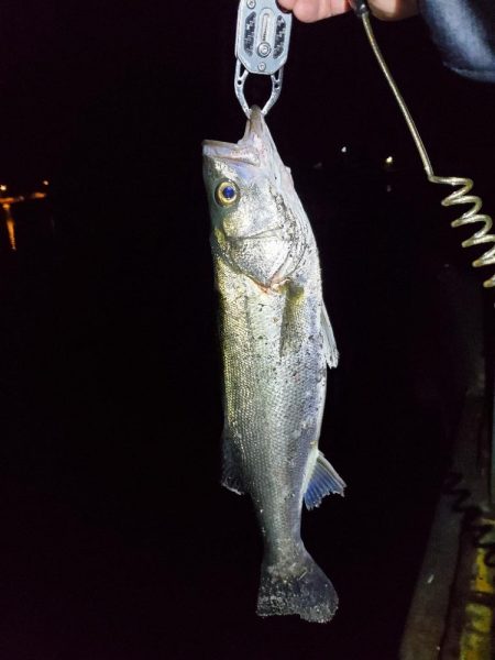 仕事帰りにふらっと♪