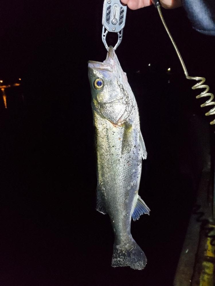 仕事帰りにふらっと♪