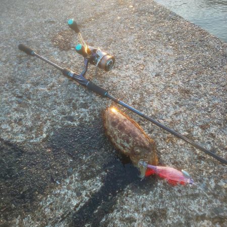 幸せの幸ちゃんとボラ