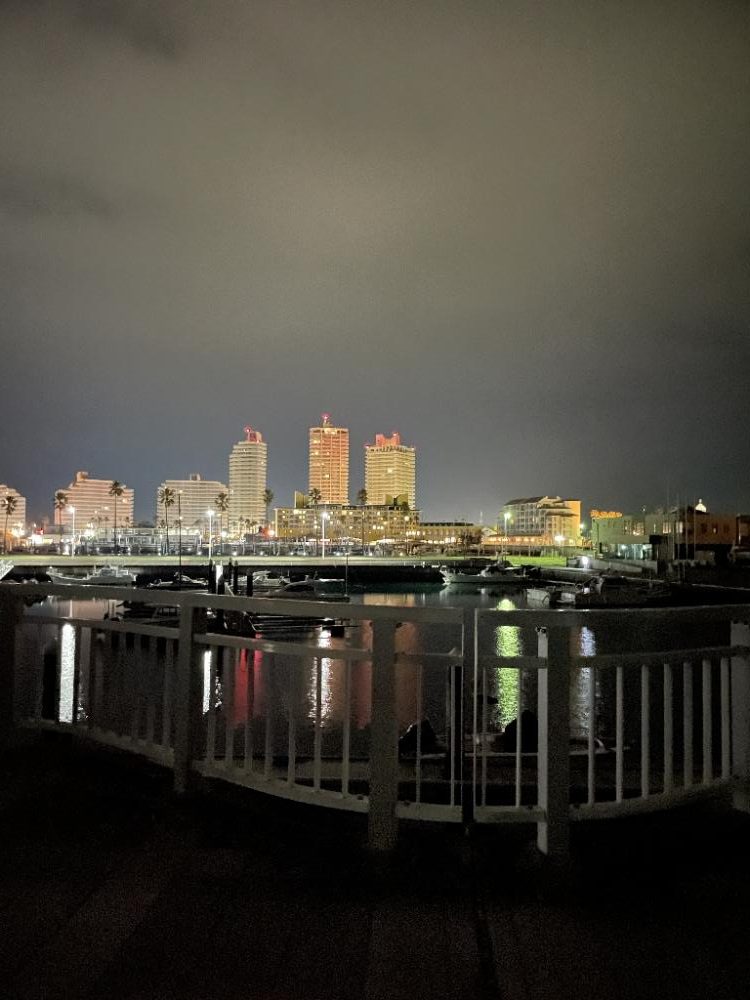 ショアジギング厳しく、ライトゲーム楽しく