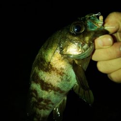 フロートゲーム～