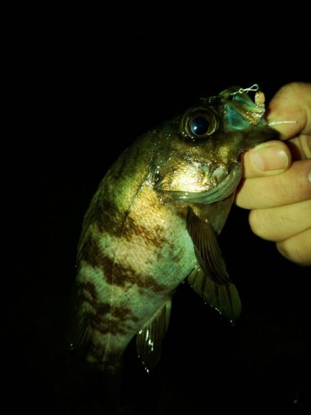 フロートゲーム～