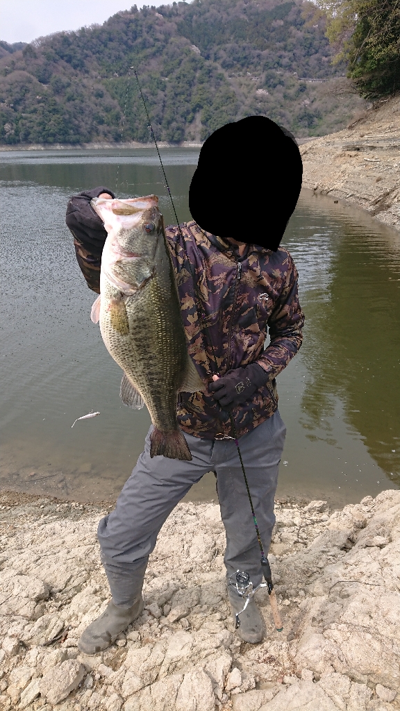 表層死にかけワカサギパターン