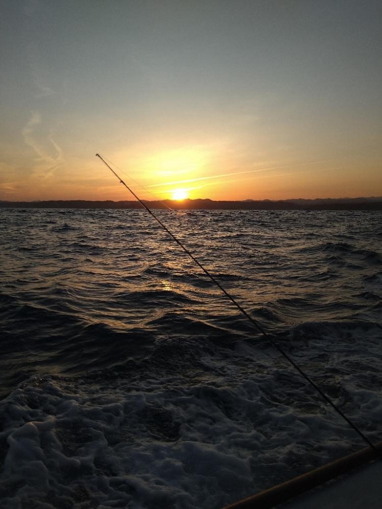 渋い中ボウズは回避