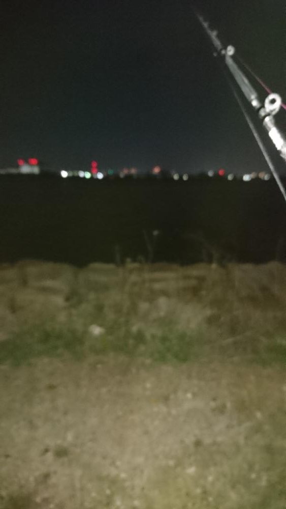 今日も安定の釣果