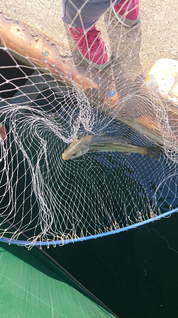 2022停泊船ゲーム1