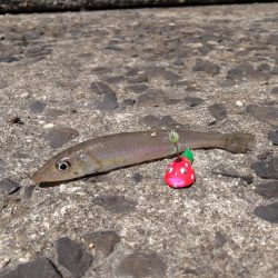 すこし早めにキス狙い☆