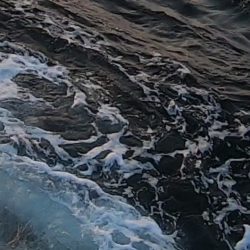 ロッキーショアフィッシング